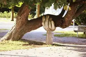 support for tree