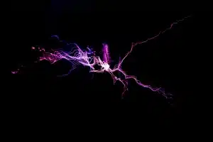 purple static electricity